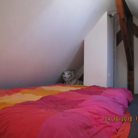 Chez Jean Luc Molsheim