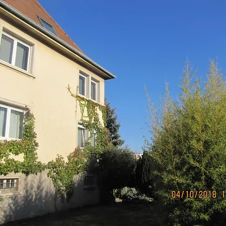 Chez Jean Luc * Molsheim