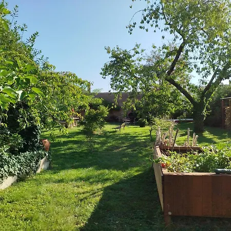 Chez Jean Luc * Molsheim