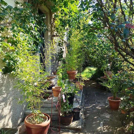 Chez Jean Luc Molsheim