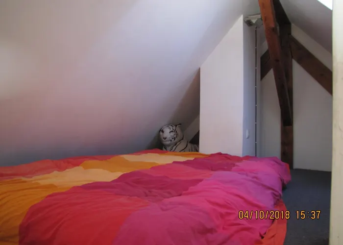 Chez Jean Luc Molsheim