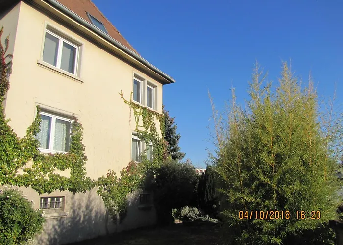 Chez Jean Luc * Molsheim