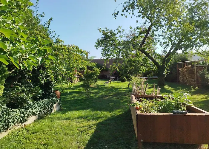 Chez Jean Luc * Molsheim