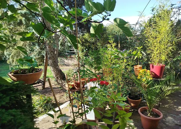 Chez Jean Luc Homestay Molsheim